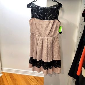 Taylor fit and flare blush and black lace dress